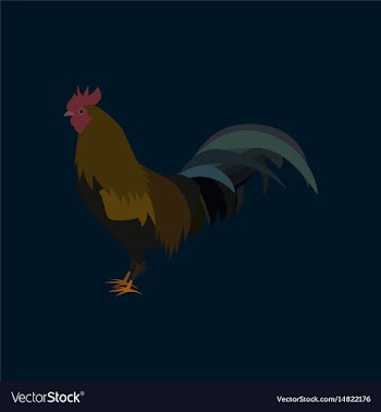 In flat style cock vector image