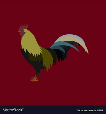 In flat style cock vector image