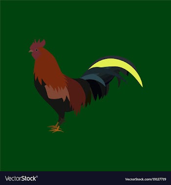 In flat style cock vector image