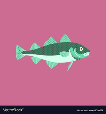 In flat style cod vector image