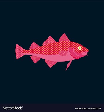 In flat style cod vector image