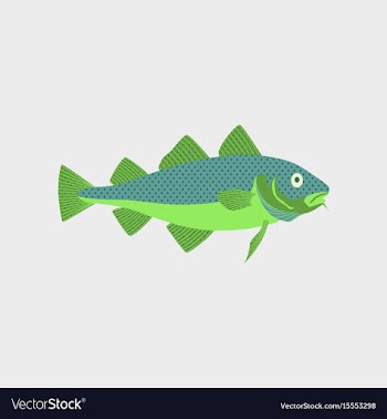 In flat style cod vector image