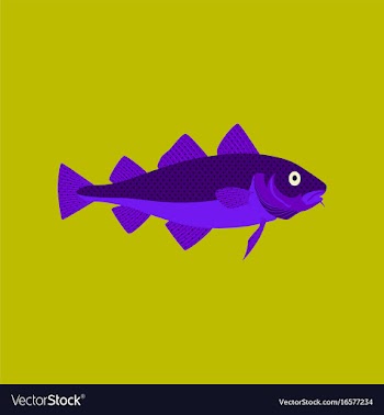 In flat style cod vector image