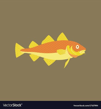In flat style cod vector image