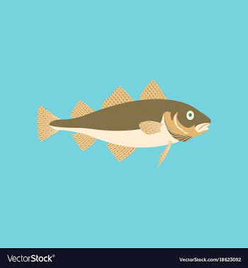 In flat style cod vector image