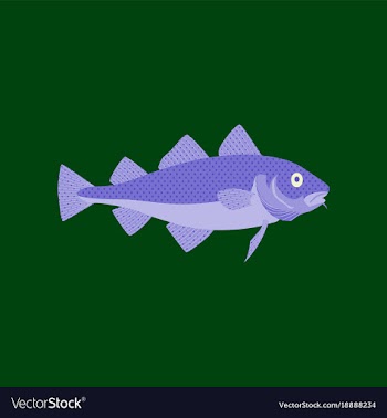 In flat style cod vector image