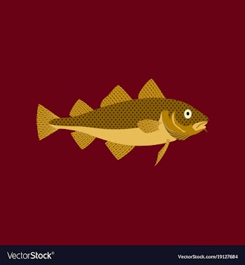 In flat style cod vector image