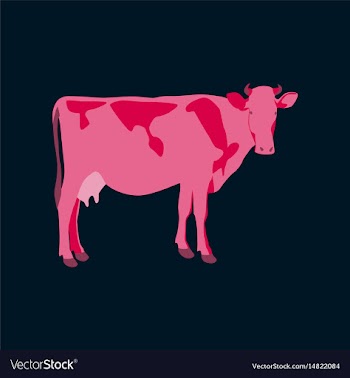 In flat style cow vector image