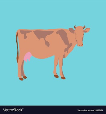 In flat style cow vector image