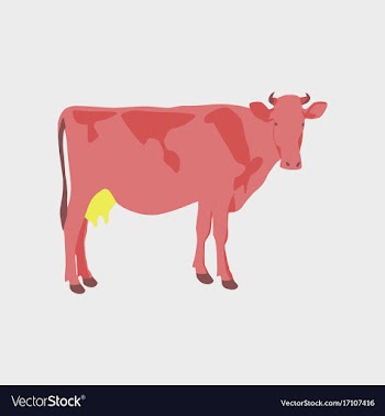 In flat style cow vector image