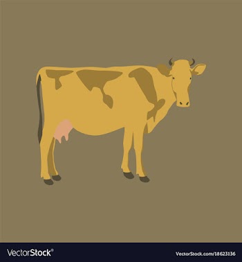 In flat style cow vector image