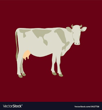 In flat style cow vector image