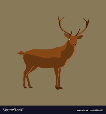 In flat style deer vector image