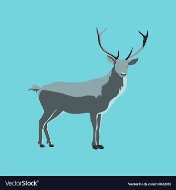 In flat style deer vector image