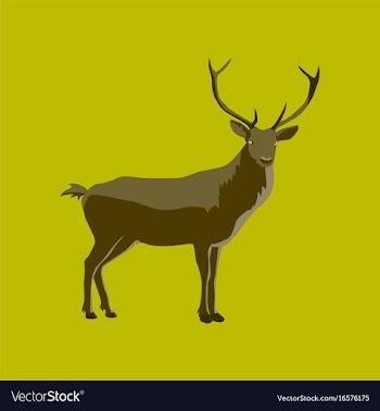 In flat style deer vector image