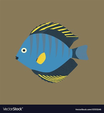 In flat style discus fish vector image