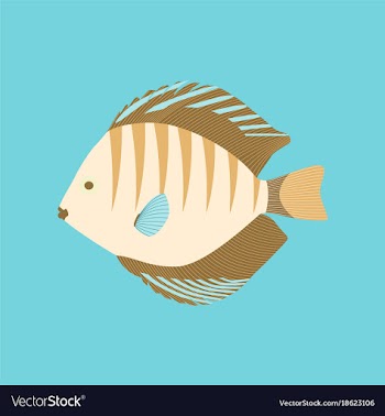 In flat style discus fish vector image