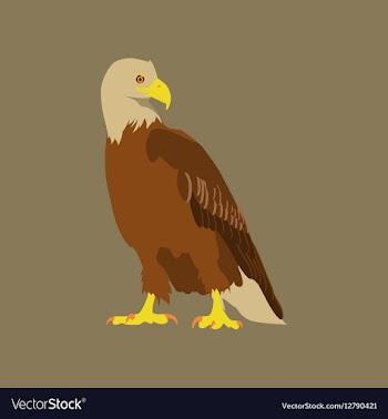 In flat style eagle vector image