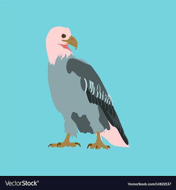 In flat style eagle vector image