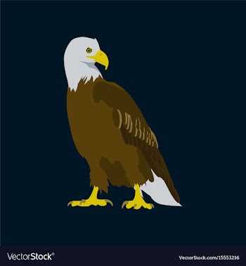 In flat style eagle vector image