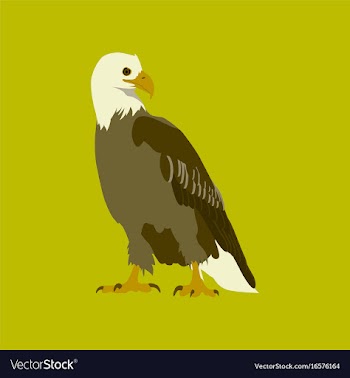 In flat style eagle vector image