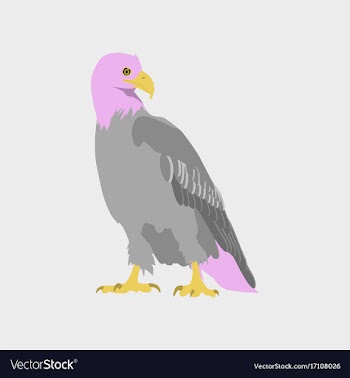 In flat style eagle vector image