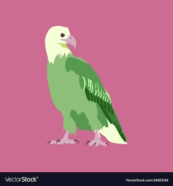 In flat style eagle vector image