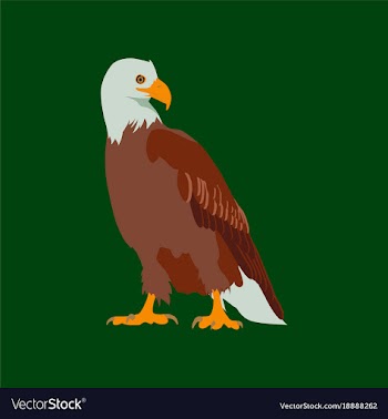 In flat style eagle vector image