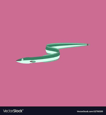 In flat style eel vector image