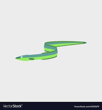 In flat style eel vector image