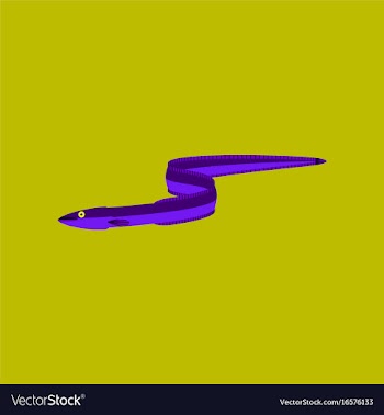 In flat style eel vector image