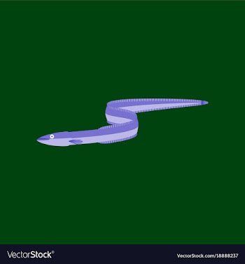 In flat style eel vector image