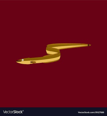In flat style eel vector image