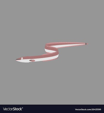 In flat style eel vector image