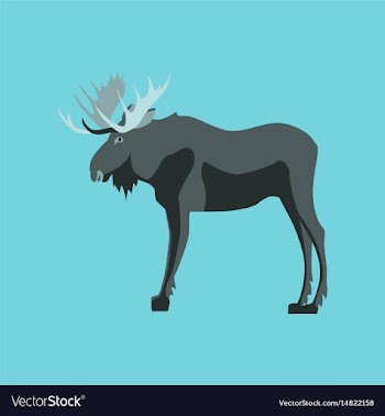 In flat style elk vector image