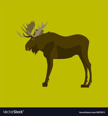 In flat style elk vector image