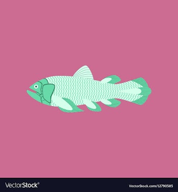 In flat style fish Coelacanth vector image