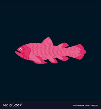In flat style fish coelacanth vector image