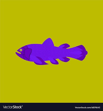 In flat style fish coelacanth vector image