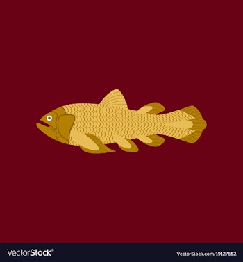 In flat style fish coelacanth vector image