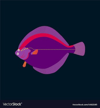 In flat style flatfish vector image