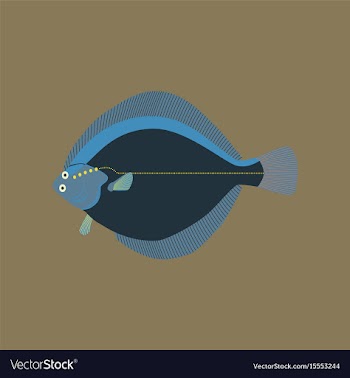 In flat style flatfish vector image