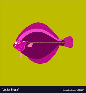 In flat style flatfish vector image