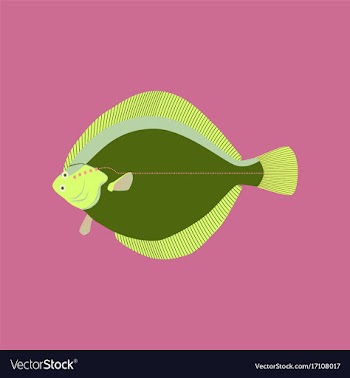 In flat style flatfish vector image