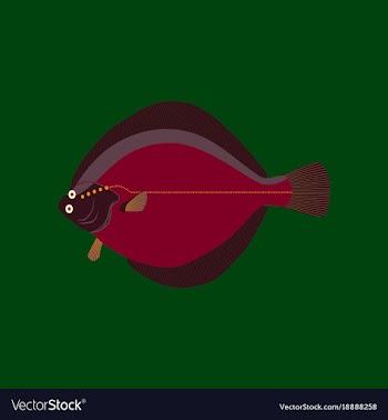 In flat style flatfish vector image