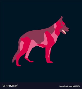 In flat style german shepherd vector image