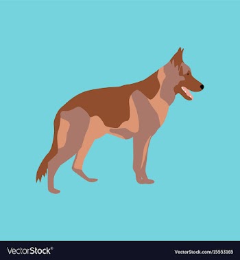 In flat style german shepherd vector image