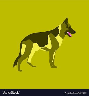 In flat style german shepherd vector image