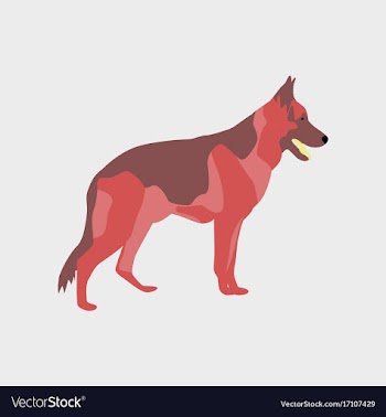 In flat style german shepherd vector image
