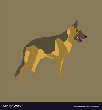 In flat style german shepherd vector image